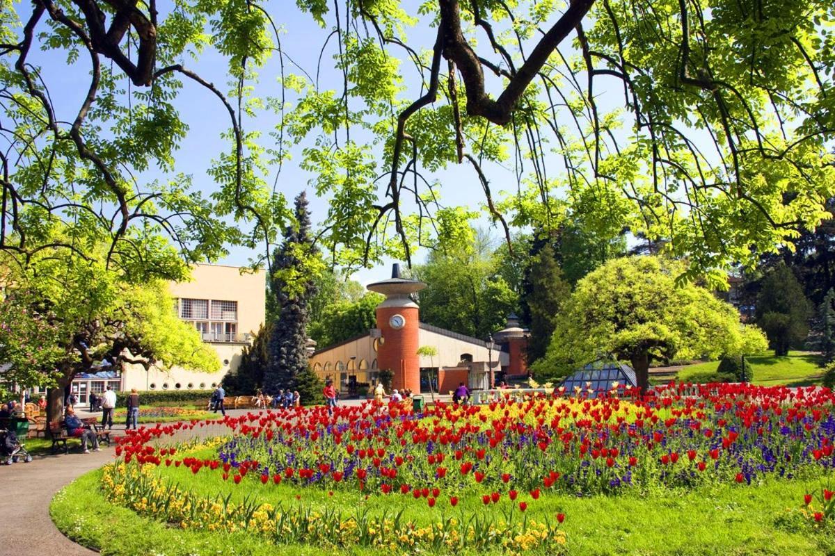 Hotel Kocka Vrnjačka Banja Exteriér fotografie